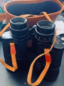 Vintage Binoculars