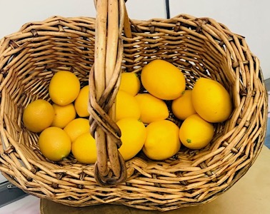 Faux Lemons