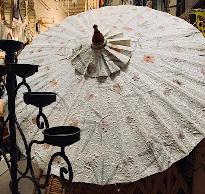 Ivory Parasol