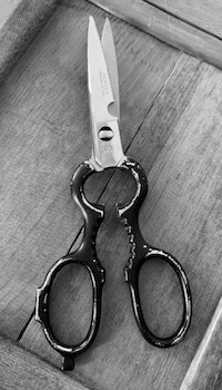 Vintage Gerber Scissors