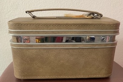 Vintage Train Case in Sage Color